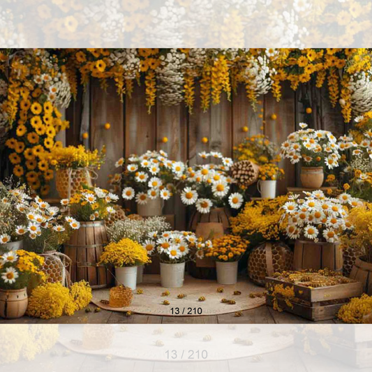 Backdrop 13