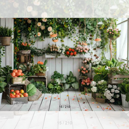 Backdrop 15