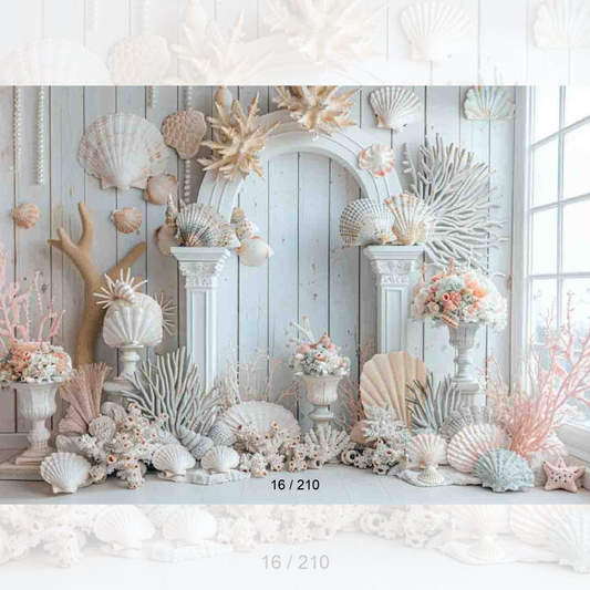 Backdrop 16