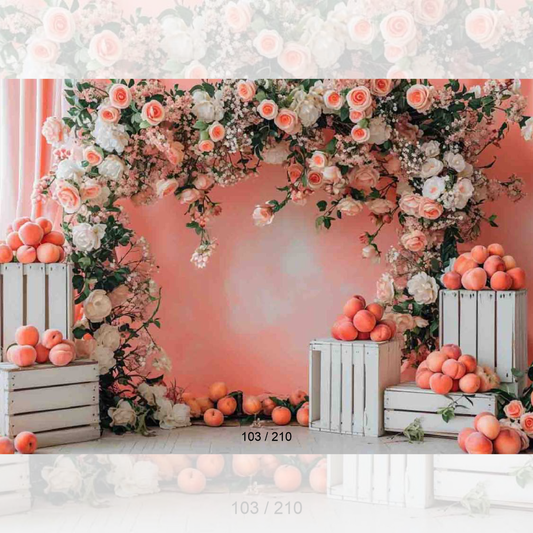 Backdrop 103