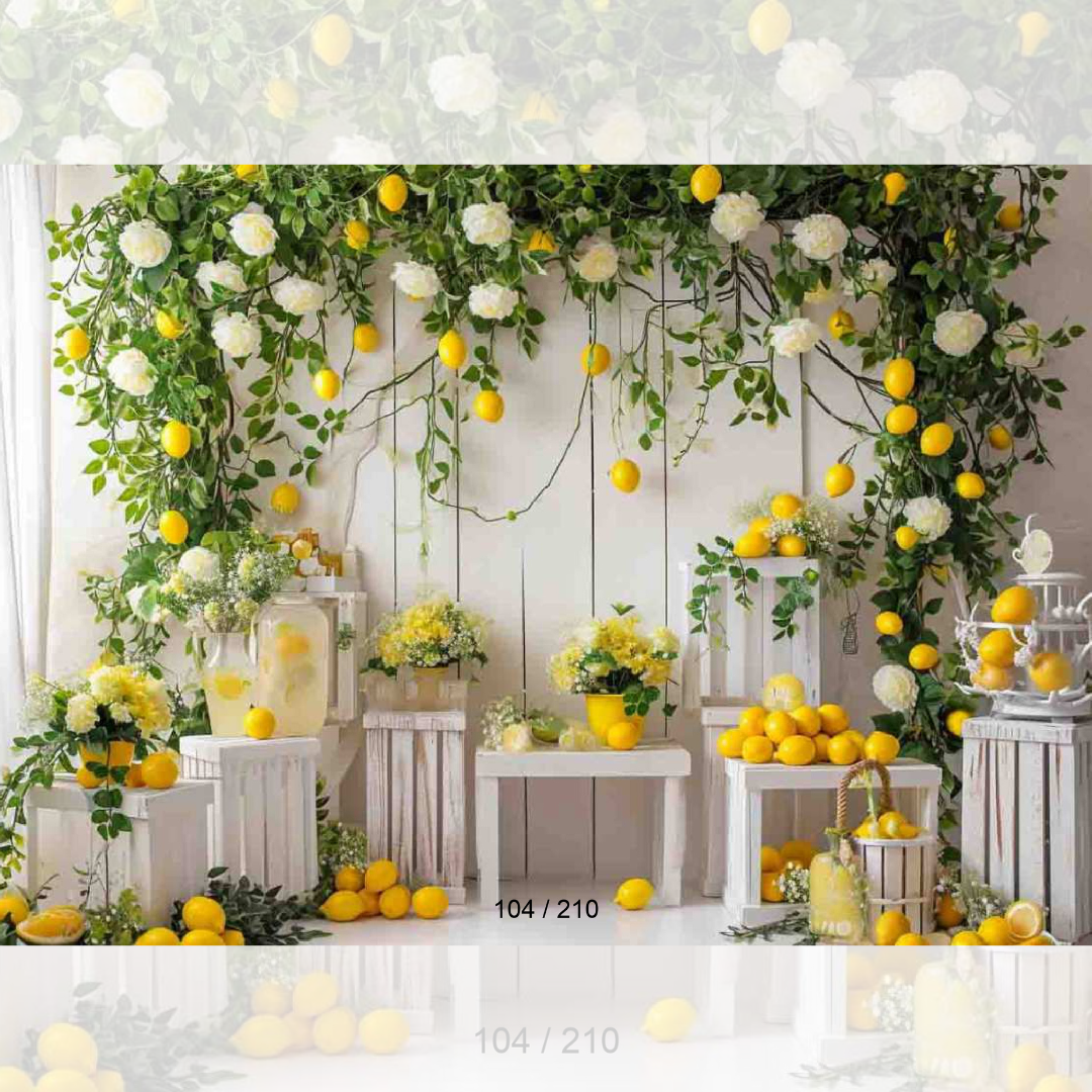 Backdrop 104