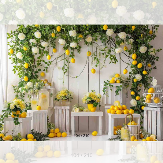 Backdrop 104