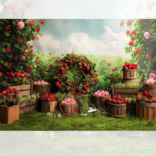 Backdrop 167