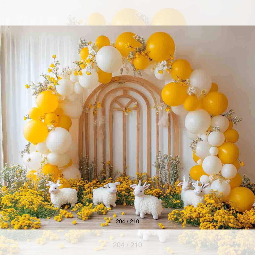 Backdrop 204