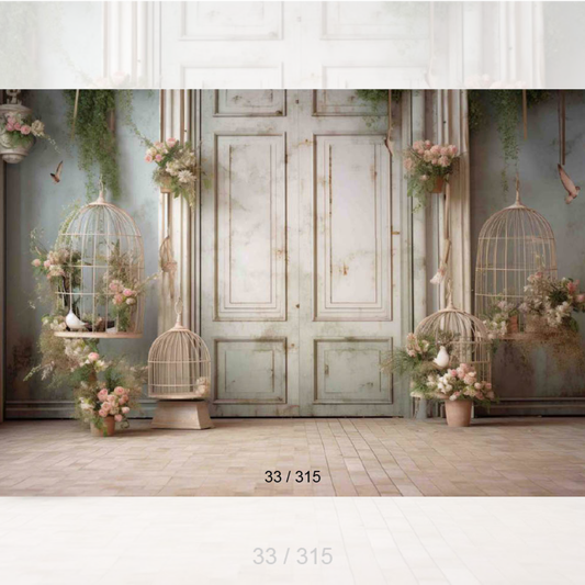 Backdrop 243