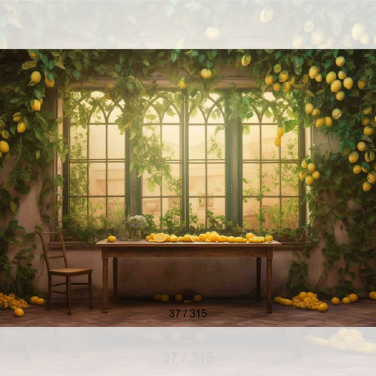 Backdrop 247