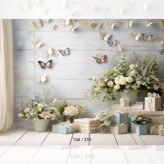 Backdrop 344