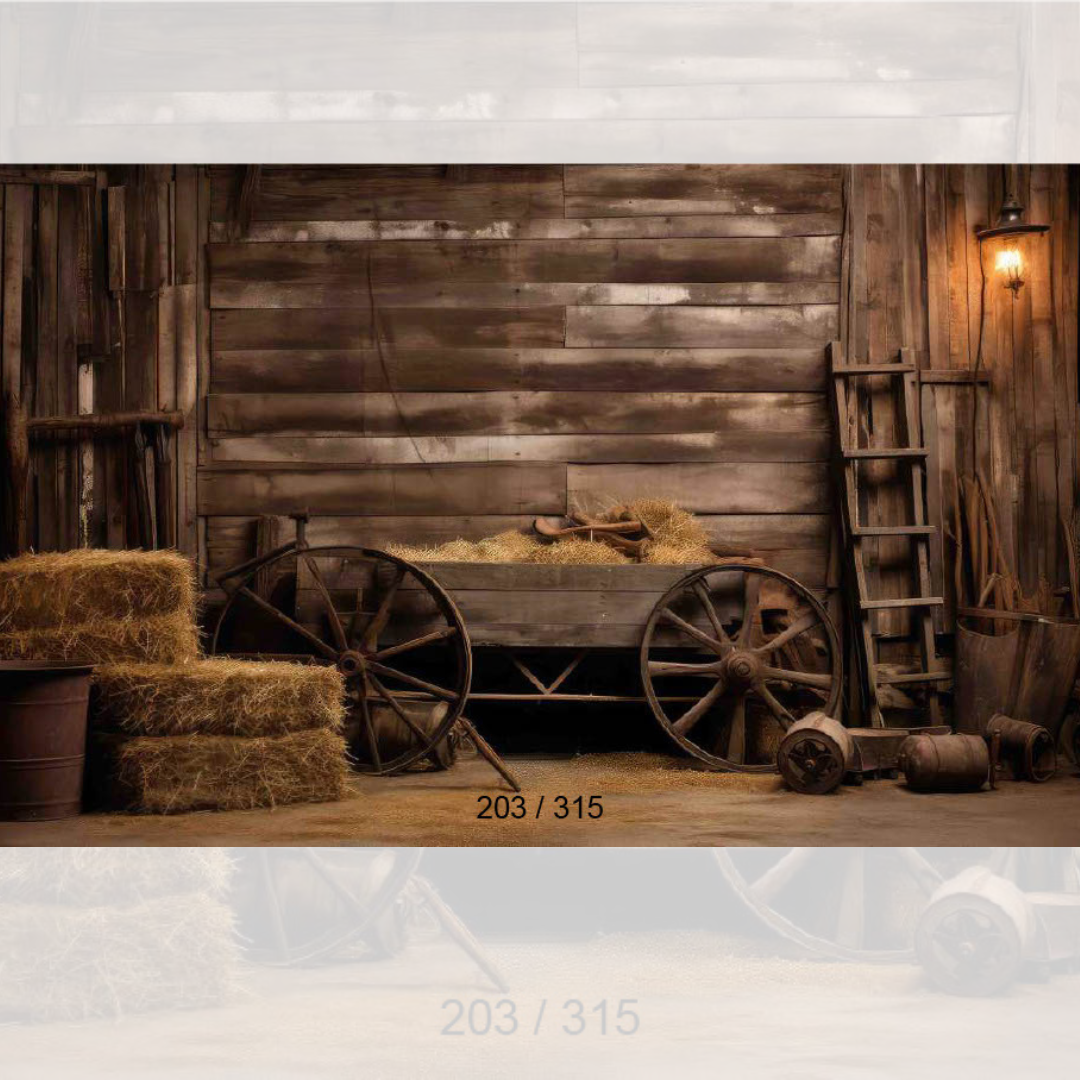 Backdrop 413