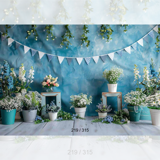 Backdrop 429