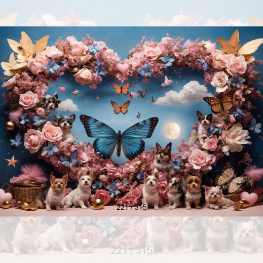 Backdrop 431