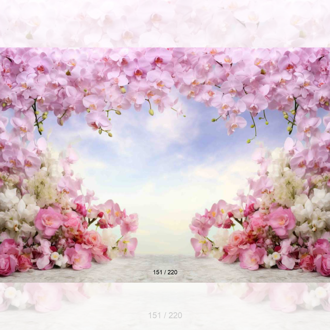 Backdrop 676