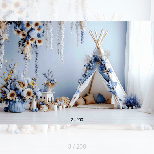 Backdrop  748