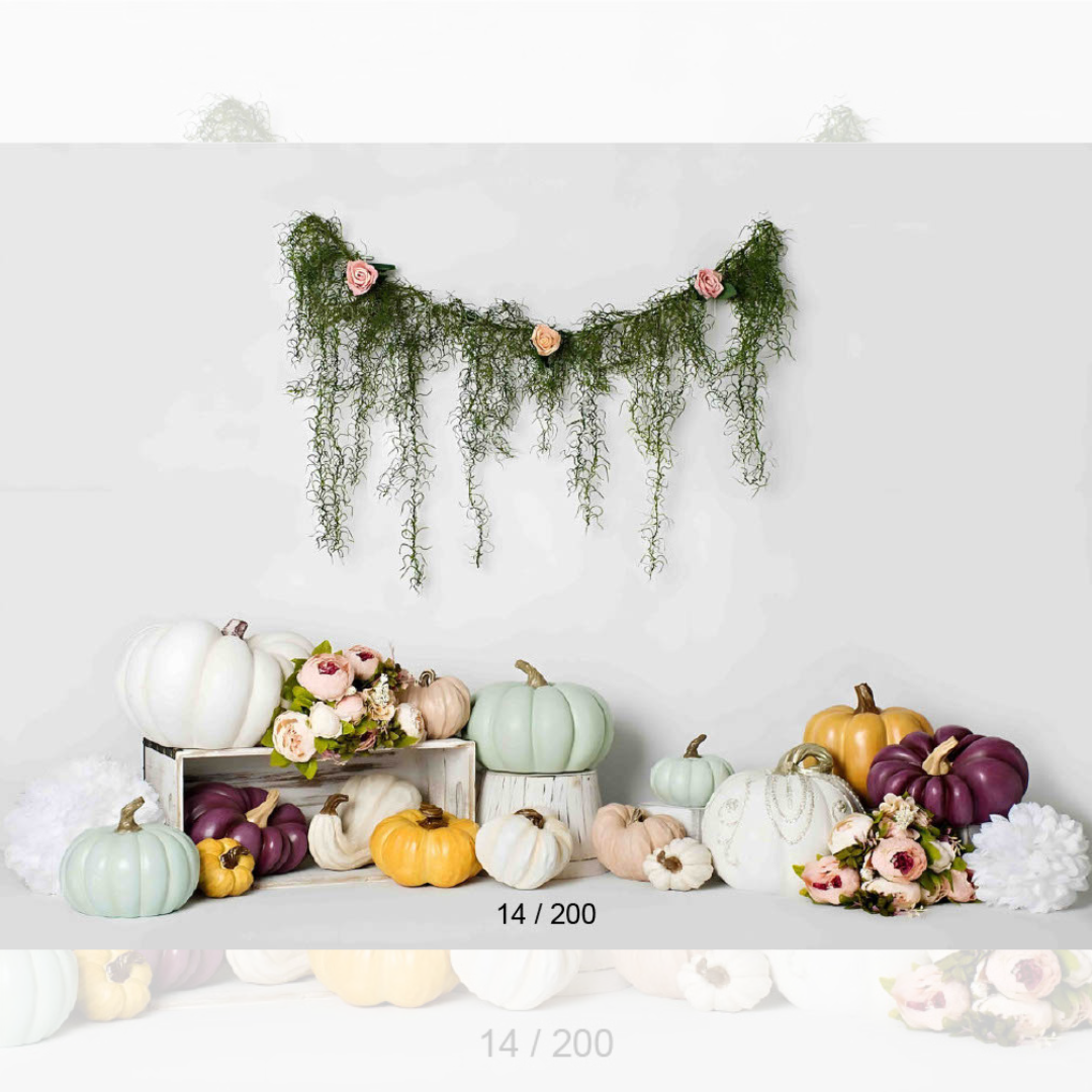 Backdrop  759