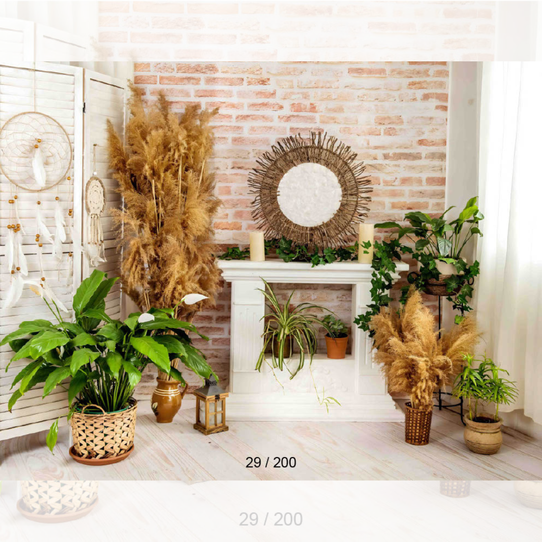 Backdrop  774
