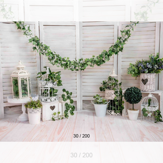 Backdrop  775