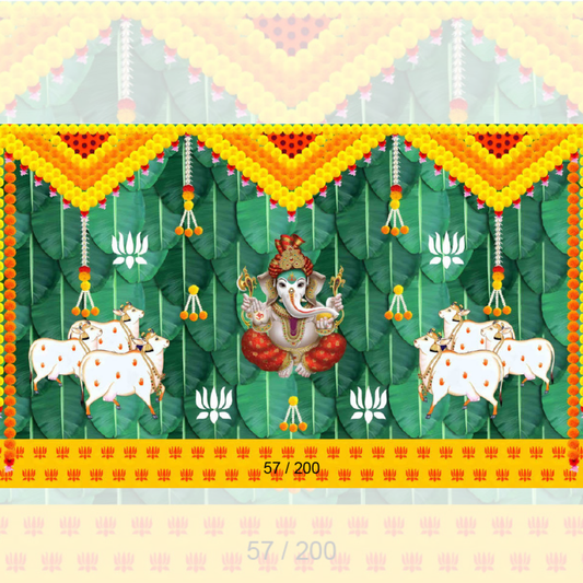 Backdrop  802