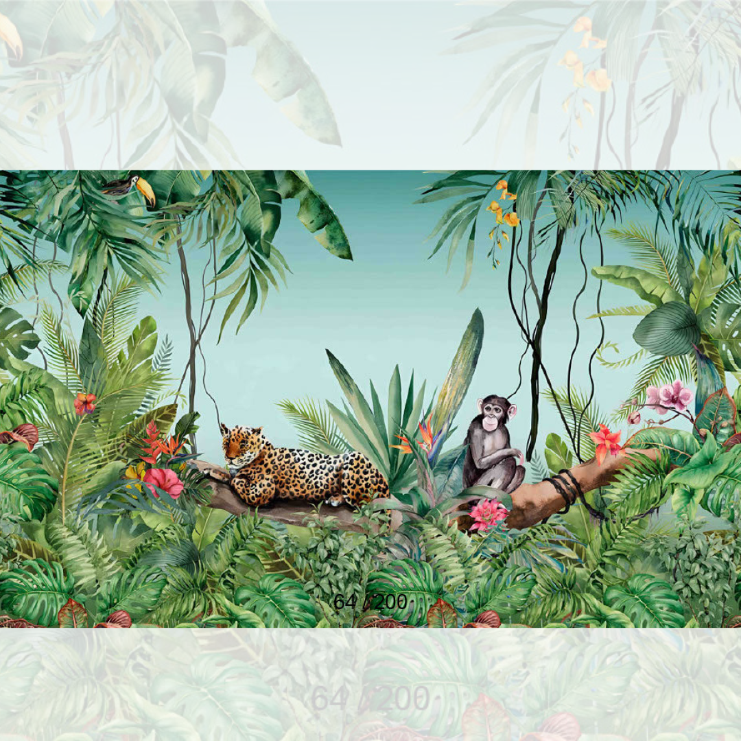 Backdrop  809