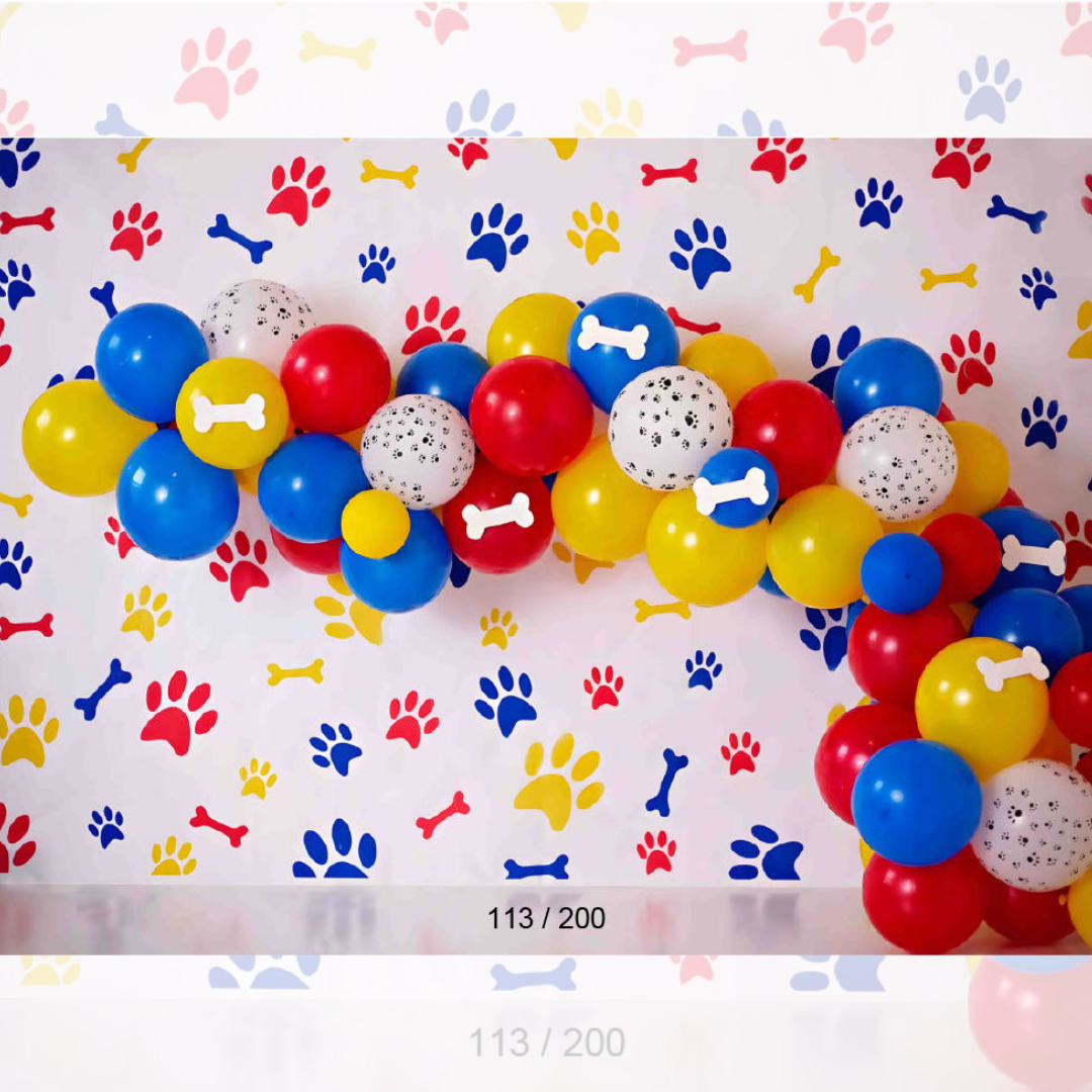 Backdrop 858