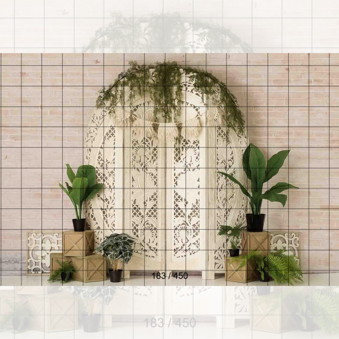 Backdrop 1128