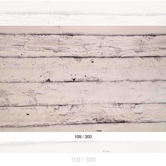 Backdrop 1504