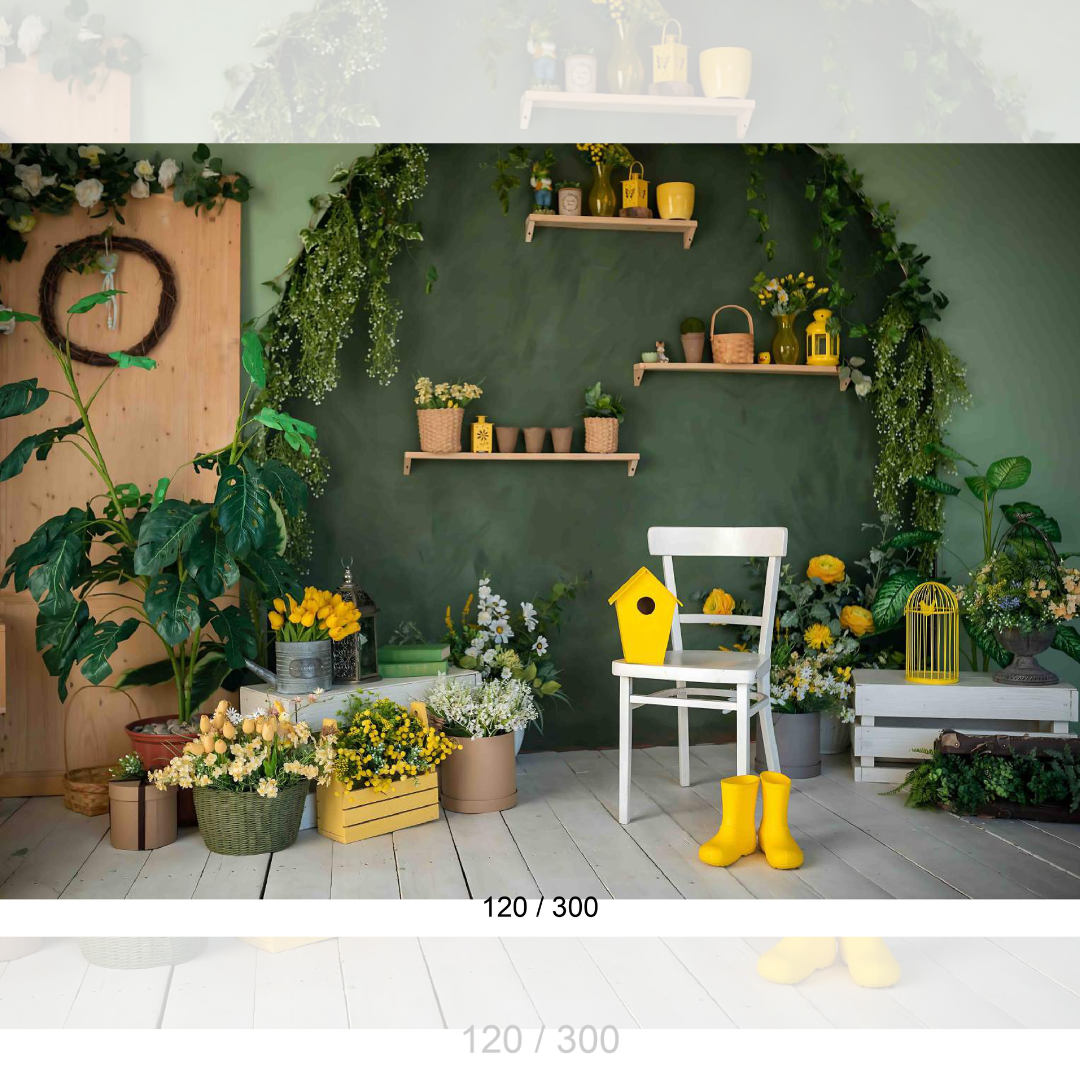 Backdrop 1515