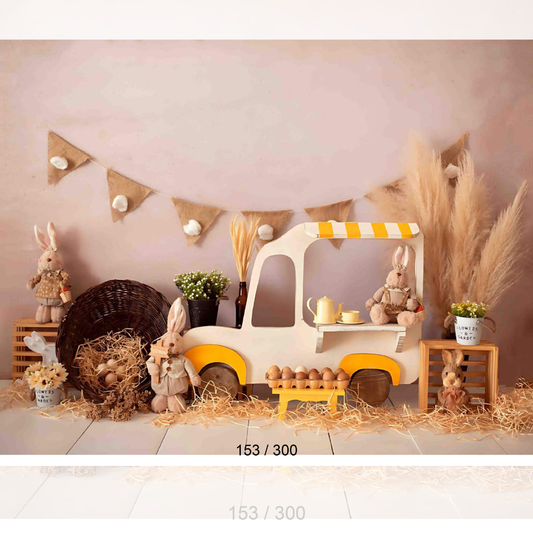 Backdrop  1548