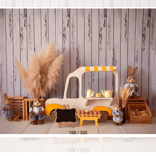 Backdrop  1553