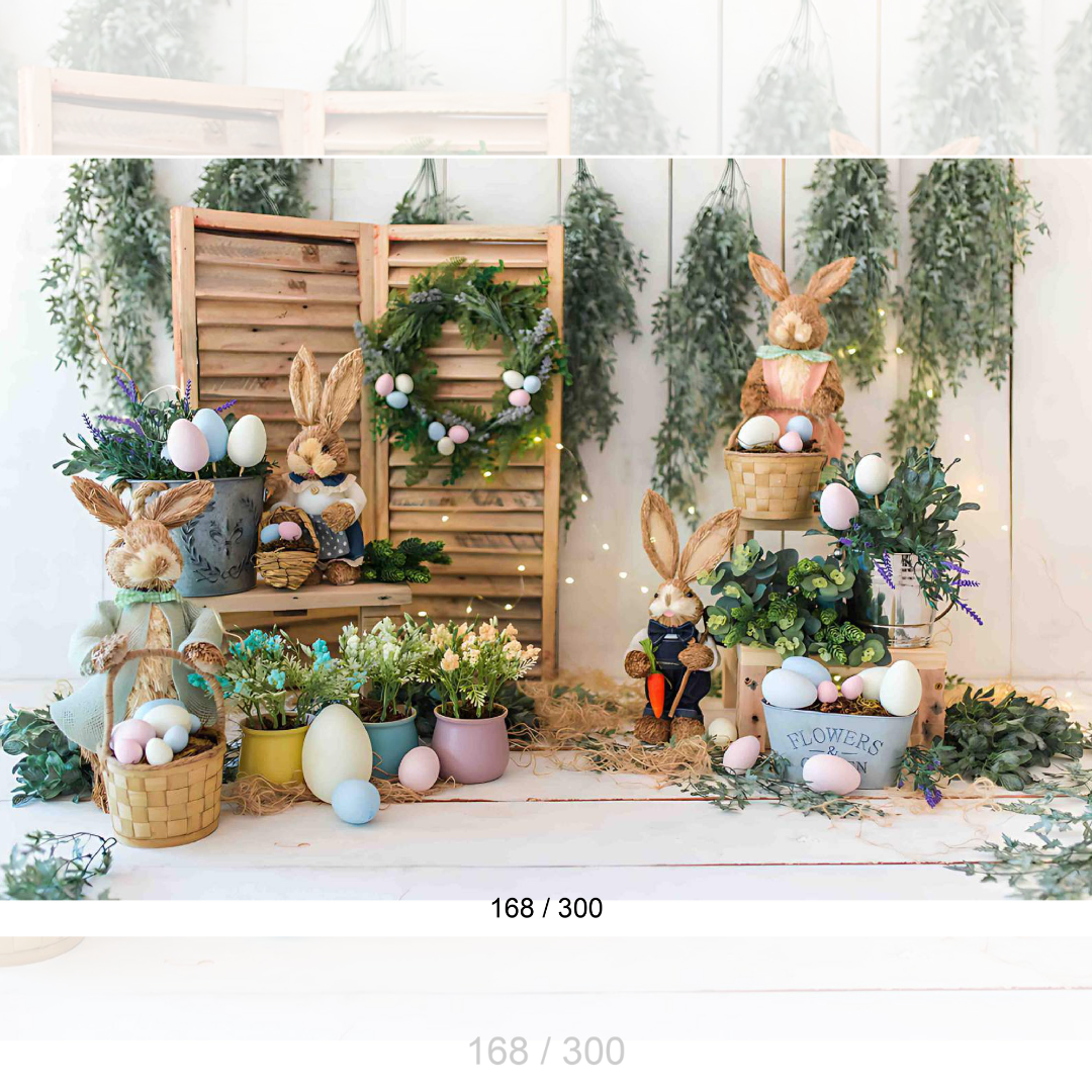 Backdrop  1563