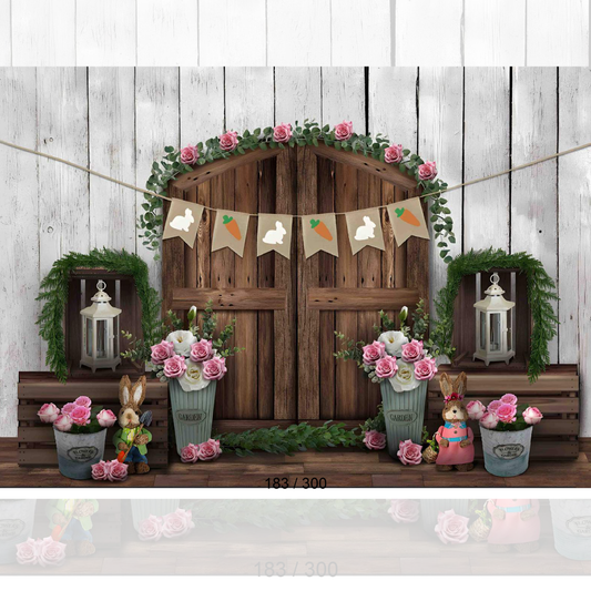 Backdrop  1578