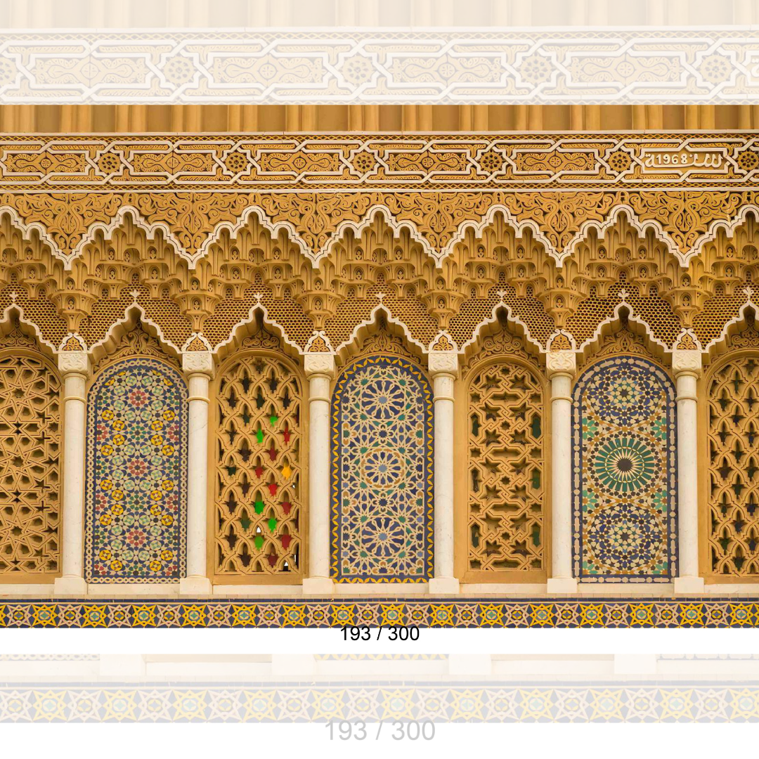 Backdrop  1588