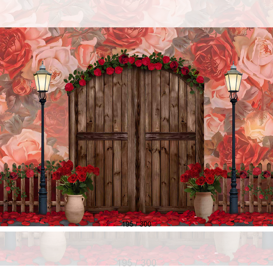 Backdrop  1590