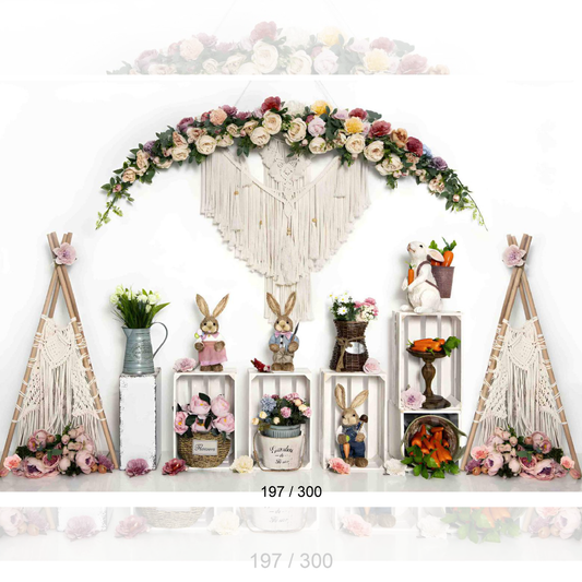 Backdrop  1592