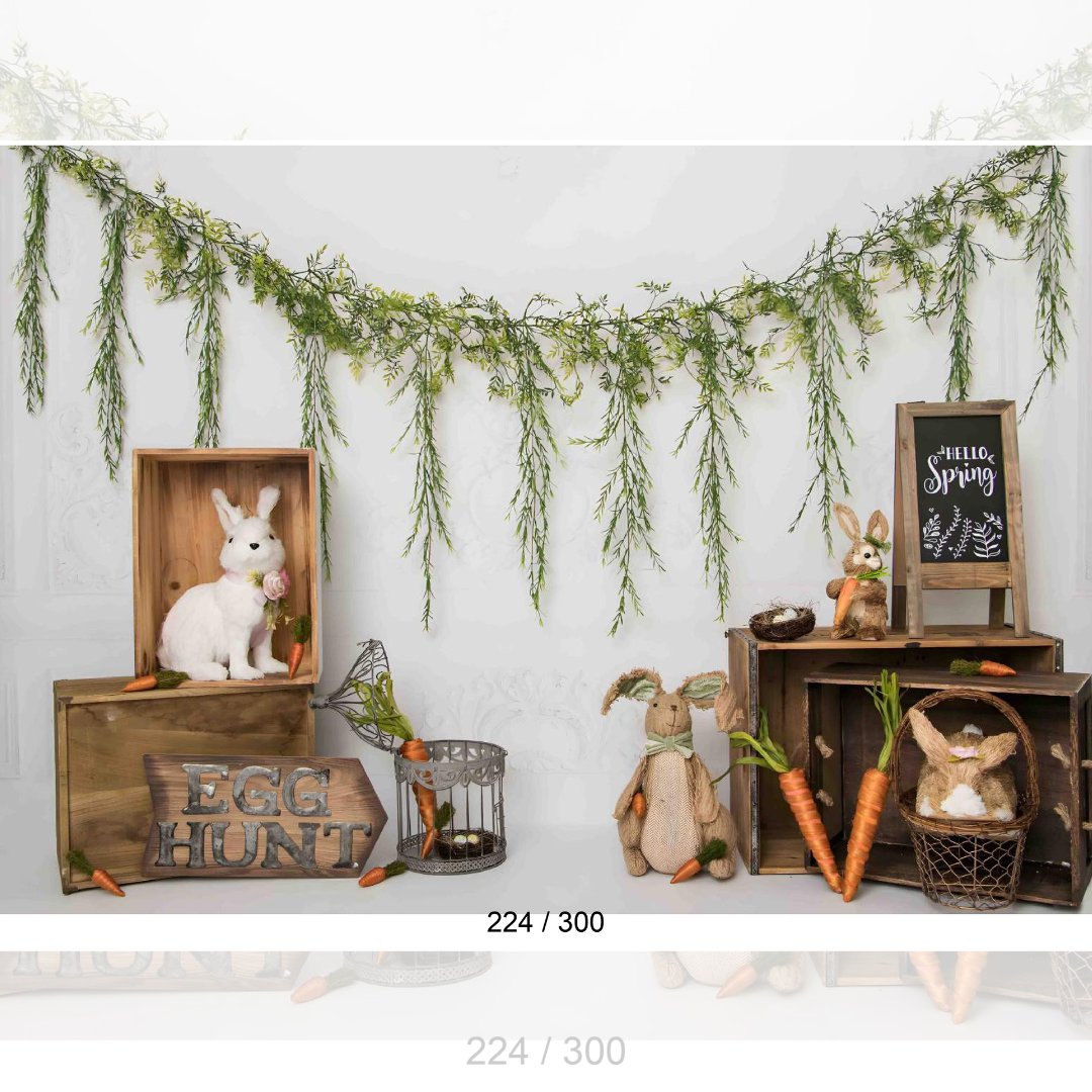 Backdrop  1619