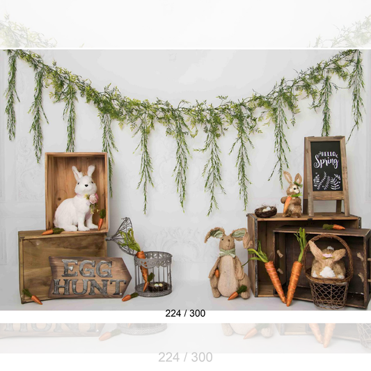 Backdrop  1619