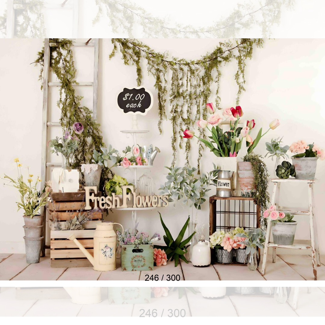 Backdrop  1641