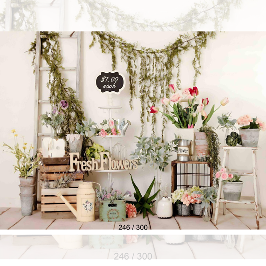 Backdrop  1641