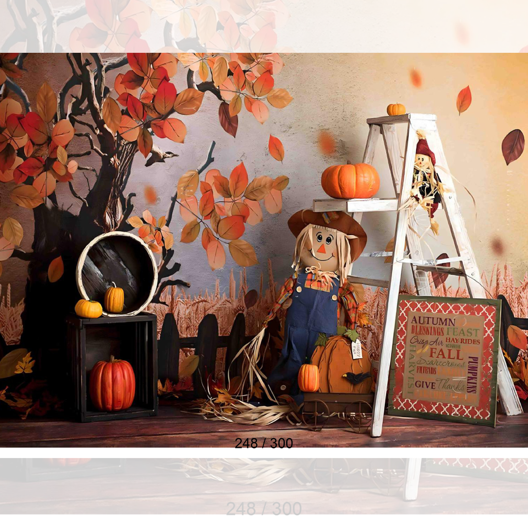 Backdrop  1643