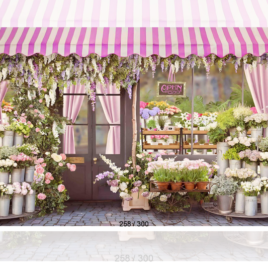 Backdrop  1653