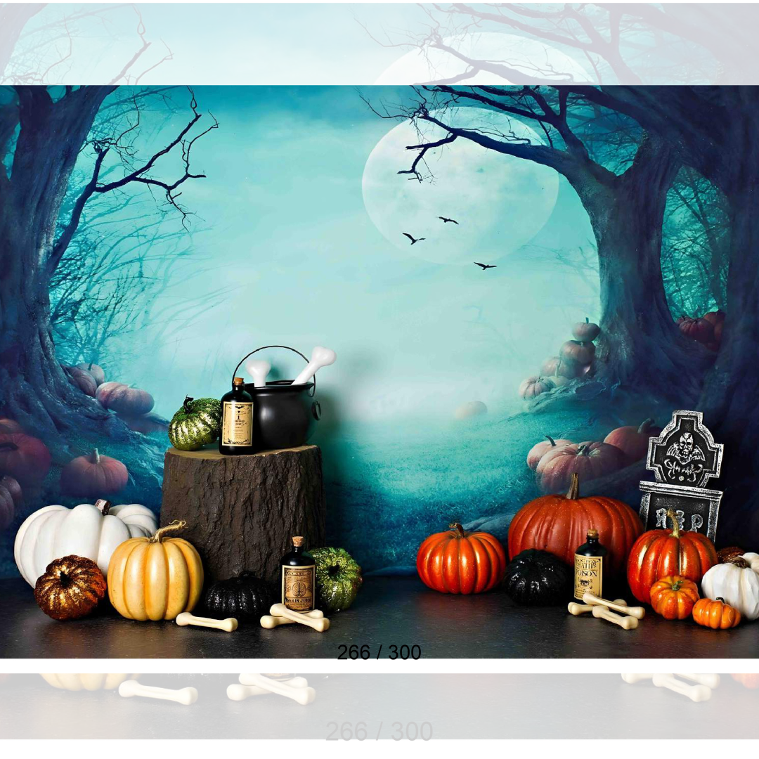 Backdrop  1661
