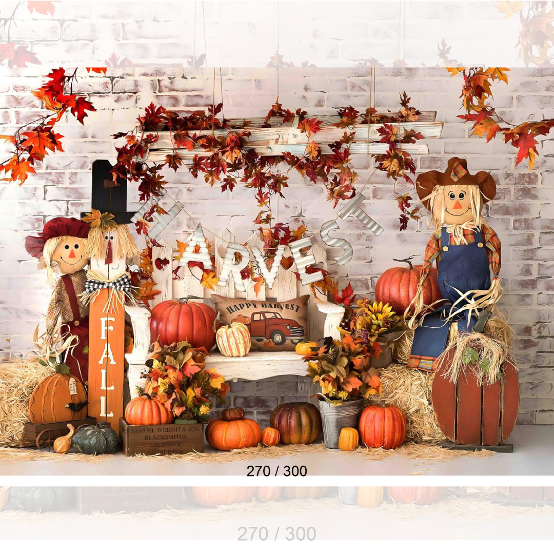 Backdrop  1665