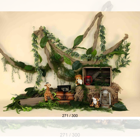 Backdrop  1666