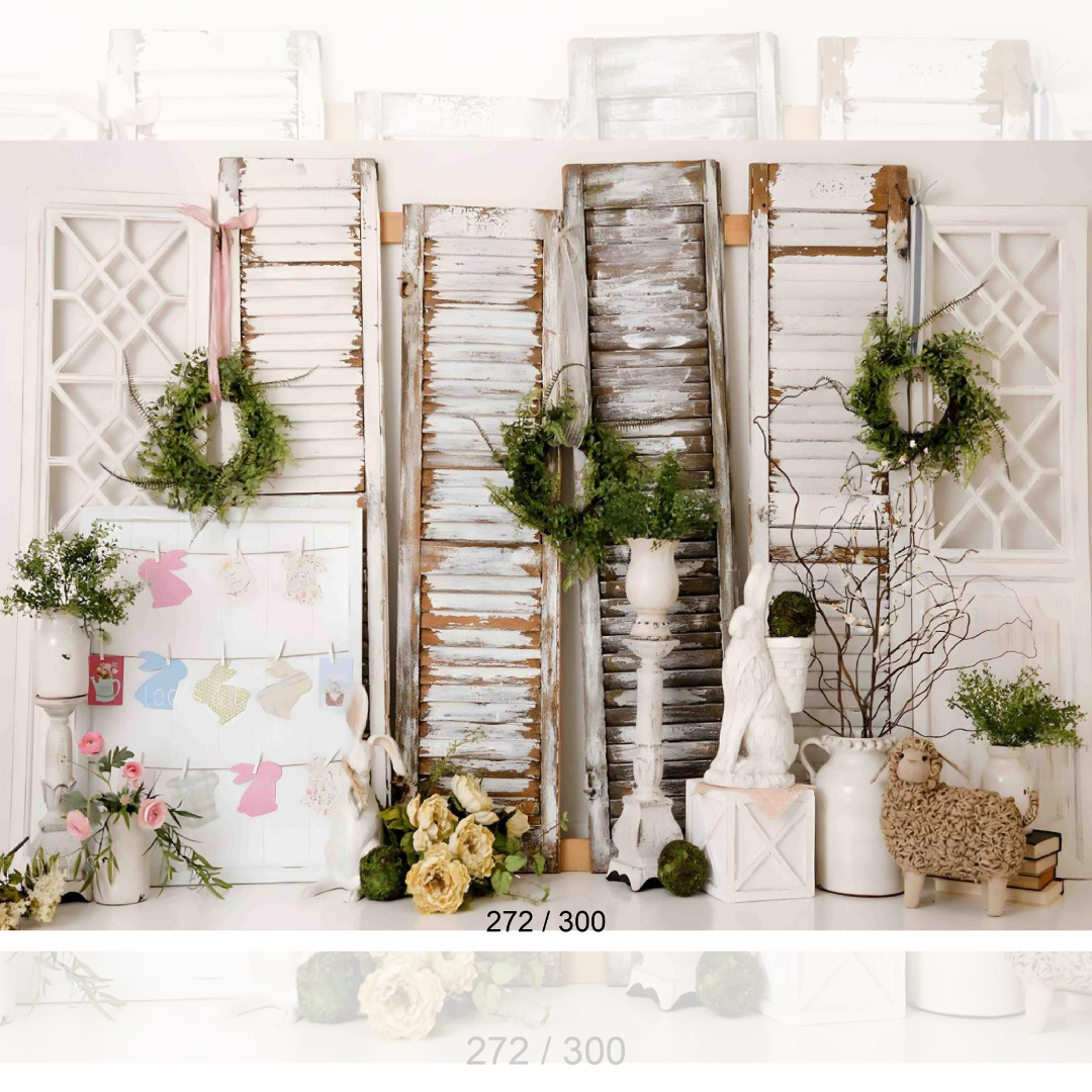 Backdrop  1667