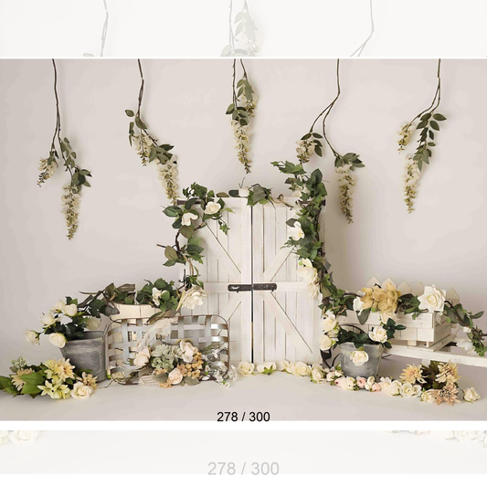 Backdrop  1673
