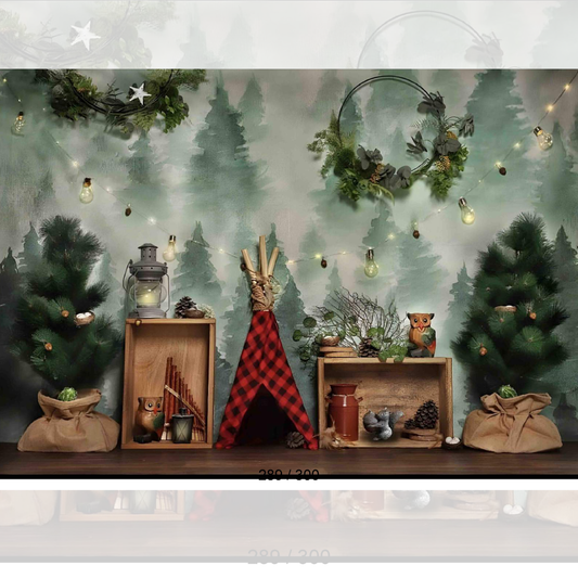 Backdrop  1684