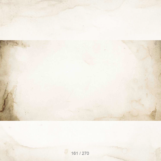 Floor Backdrop 159