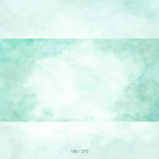 Floor Backdrop 164
