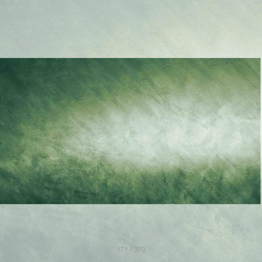 Floor Backdrop 169