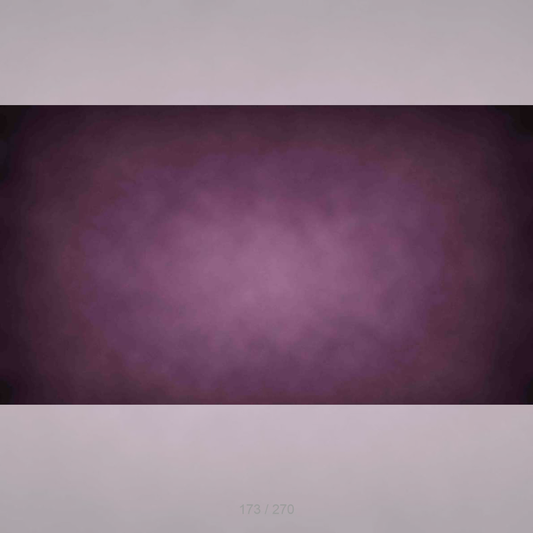 Floor Backdrop 171